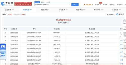 融創(chuàng)房地產(chǎn)公司累計(jì)被執(zhí)行超74億